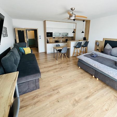 ליפנו נאד וויטאבו Lipno Beach Apartment מראה חיצוני תמונה
