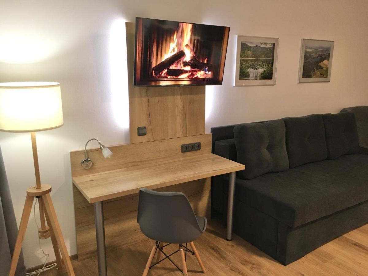 ליפנו נאד וויטאבו Lipno Beach Apartment מראה חיצוני תמונה