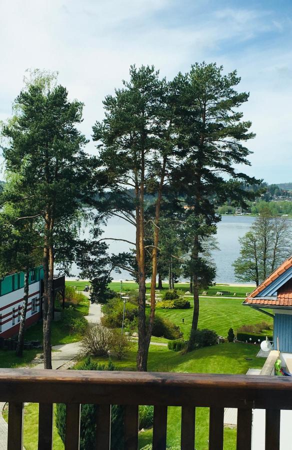 ליפנו נאד וויטאבו Lipno Beach Apartment מראה חיצוני תמונה