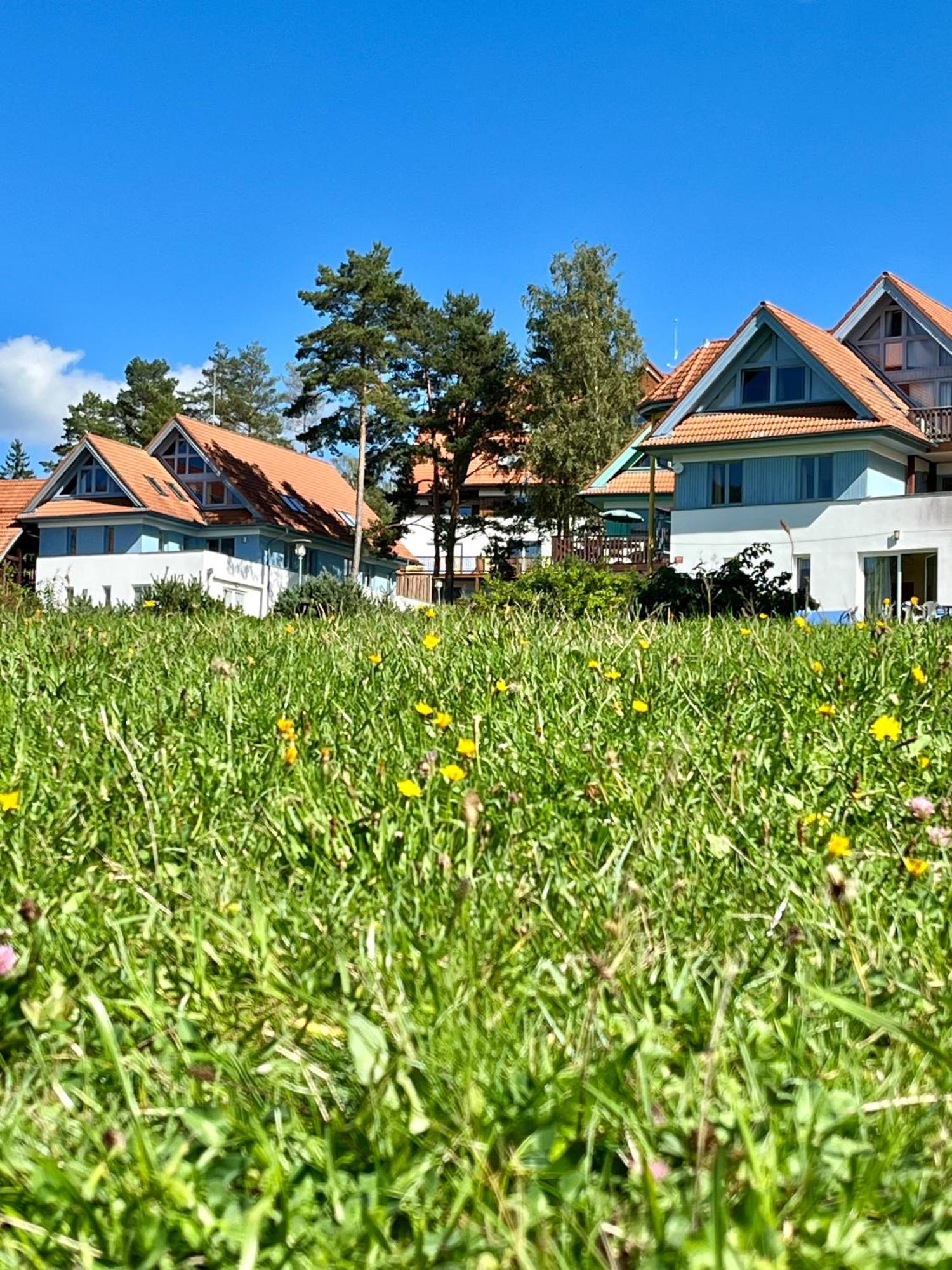 ליפנו נאד וויטאבו Lipno Beach Apartment מראה חיצוני תמונה
